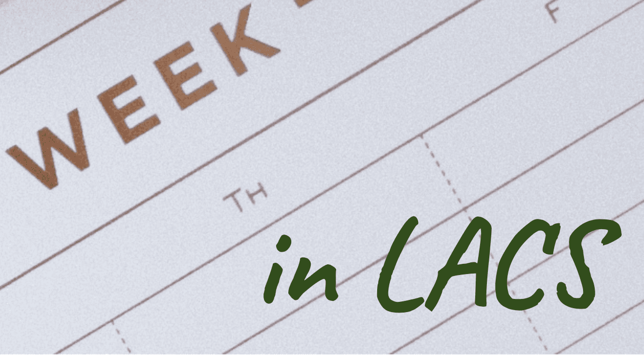 This Week in LACS 2/26/2024 - Department of Languages, Cultures and  Translation